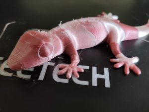 Geeetech A20M Testdruck  zweifarbiges Drucken Salamander