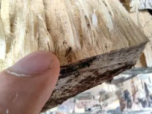 Poco X3 Pro Bilder Makrosensor