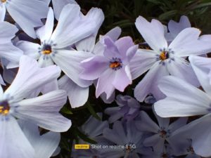 Realme 8 5G Makroaufnahmen