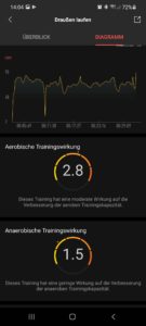 Amazfit T-Rex Pro App GPS & laufen