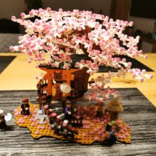 Sakura Kirschblütenbaum Produktbild