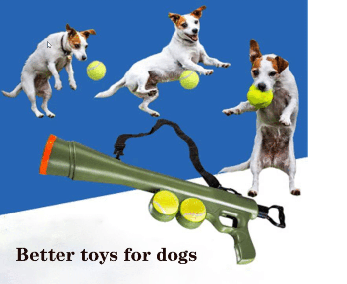 Pet Spielzeugpistole 2 Bälle