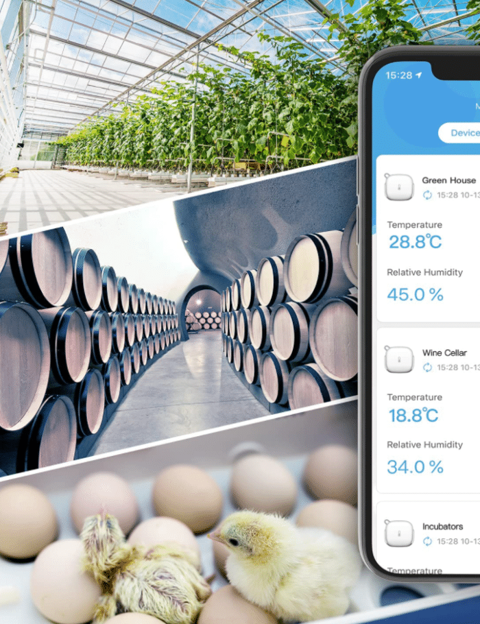 Govee WLAN Thermometer Hygrometer Innen, Beispiele wie Weinkeller, Gewächshaus