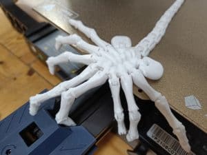 Anycube Vyper Testdruck beweglicher Facehugger