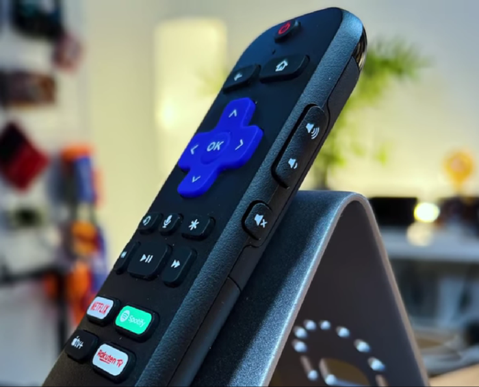 Roku Streaming Stick 4K Fernbedienung Seitenansicht und Lautstärketasten