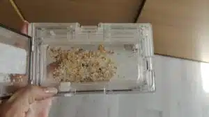 Roborock S7 MaxV Ultra Staubauffangbehälter mit Dreck drin