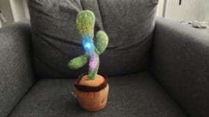 Tanzender Kaktus Leuchtet
