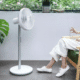 Smartmi Standing Fan 3 ab 89€ – kabelloser Ventilator ( Kabellos, App, 2800 mAh )