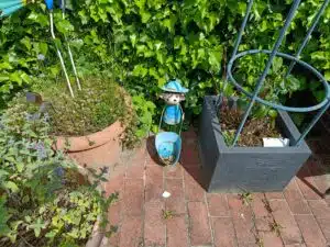 OnePlus Nord 2T Bilder Hauptkamera