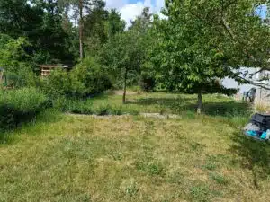 OnePlus Nord 2T Bilder Hauptkamera