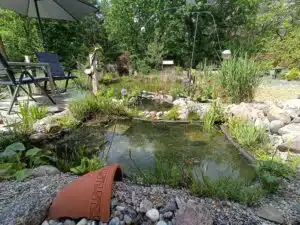 OnePlus Nord 2T Ultraweitwinkel Aufnahmen