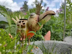 Xiaomi Black Shark 5 Pro 108MP Hauptkamera