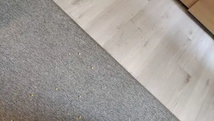 Dreame D10 Plus Chips Krümel auf dem Boden