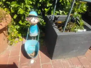 AGM Glory G1S Test & Review hauptkamera