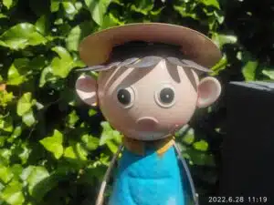 AGM Glory G1S Test & Review hauptkamera