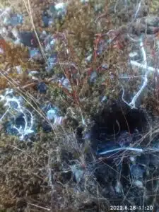 AGM Glory G1S Test & Review Makrokamera