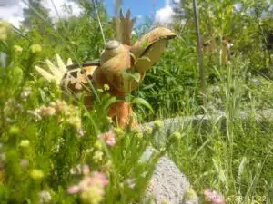 AGM Glory G1S Test & Review hauptkamera