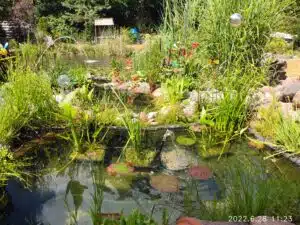 AGM Glory G1S Test & Review hauptkamera