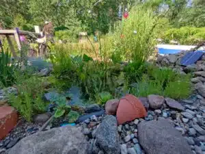 Realme GT Neo 3T Test & Review Weitwinkelsensor