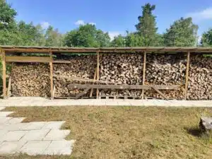 Vivo X80 Pro Test & Review Hauptkamera Pixel Binning & Native Aufnahme