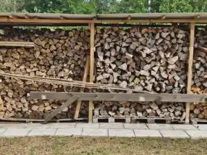 Vivo X80 Pro Test & Review  optischer Zoom