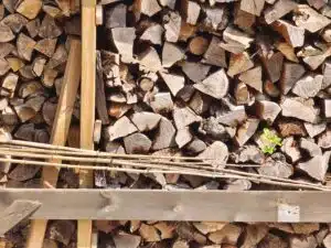 Vivo X80 Pro Test & Review  optischer Zoom