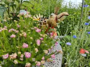 Poco F4 Test & Review Bilder Hauptkamera