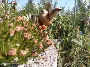 IMG 20220809 101340 027