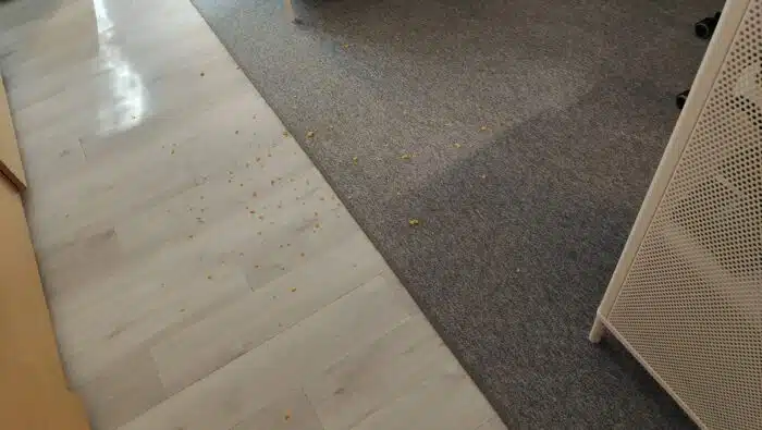 philips aquatrio 9000 verteilte Chipskrümel