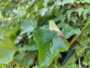 IMG 20220816 100752774