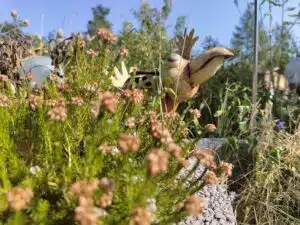 IMG 20220816 100809876