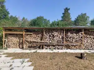 IMG 20220816 100839269