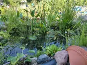 IMG 20220816 100931628