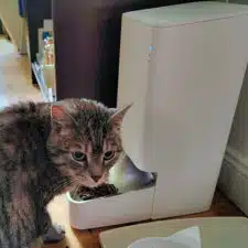 Smarter Futterspender