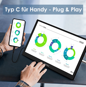 Lepow C2 portable monitor USB Type-C connector