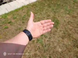 Nubia Redmagic 8S Pro Test & Review Portraitbilder Hauptkamera