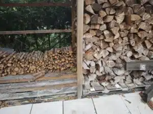 Screenshot_Xiaomi 14 Pro Kurztest Bilder Hauptkamera