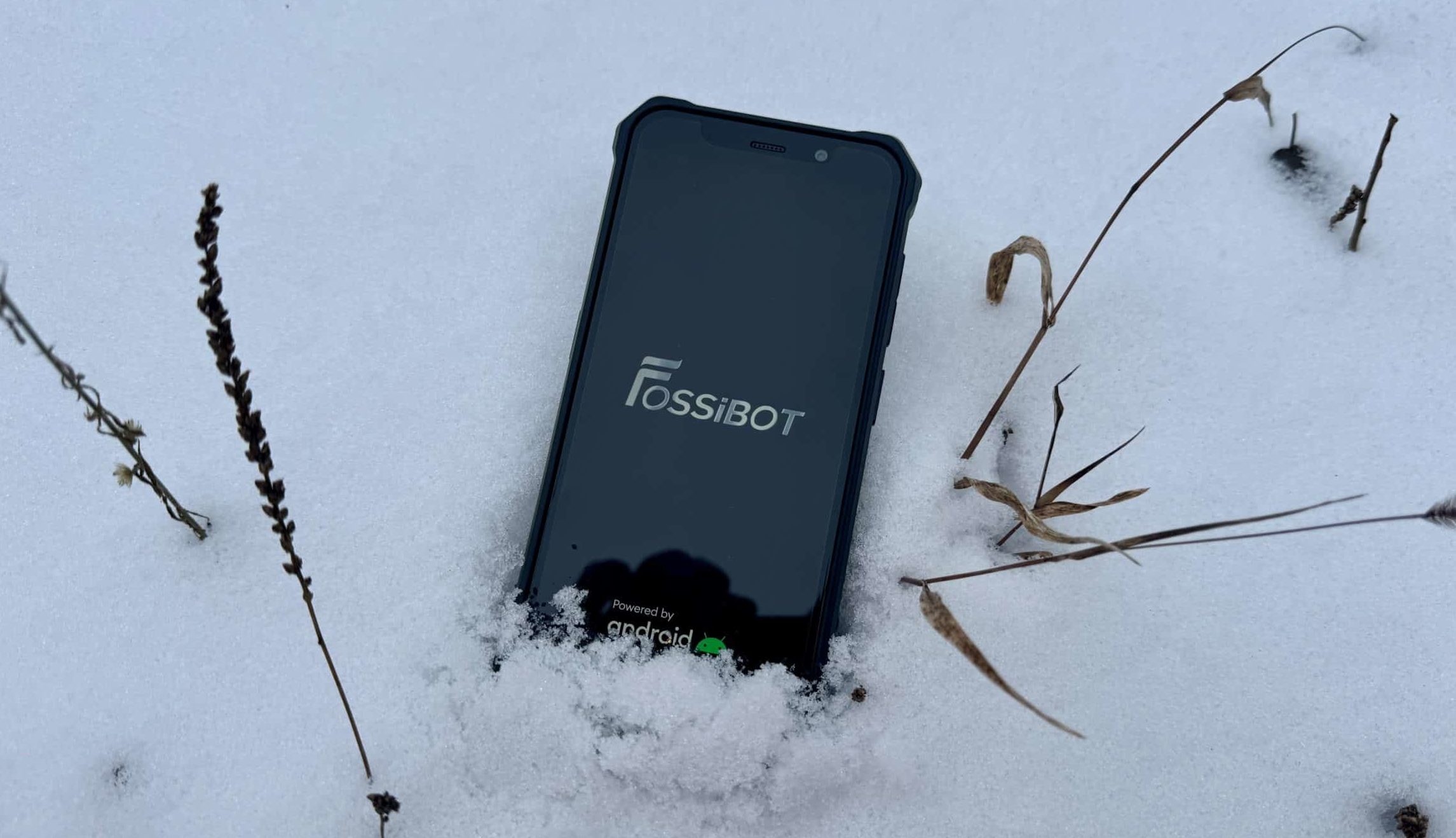 FOSSiBOT F101 Pro ab 129€ günstig kaufen (03/2025)