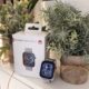 Huawei Watch Fit 3 ab 109€ – Top Smartwatch zum unschlagbaren Preis (GPS, Krone, Pulsmesser, 100+ Sportmodi)