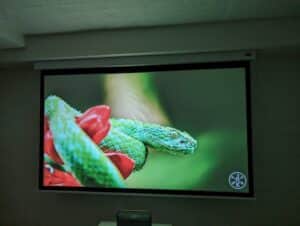 WANBO DaVinci 1 Pro Bildqualität abgedunkelter Raum
