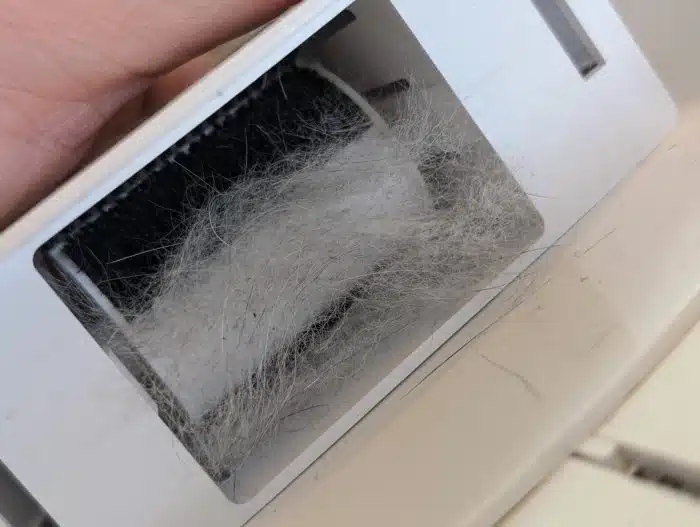 Paw-Swing Self Groomer