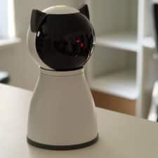 Laser-Spielzeug für Katzen