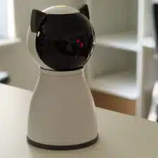 Laser-Spielzeug für Katzen