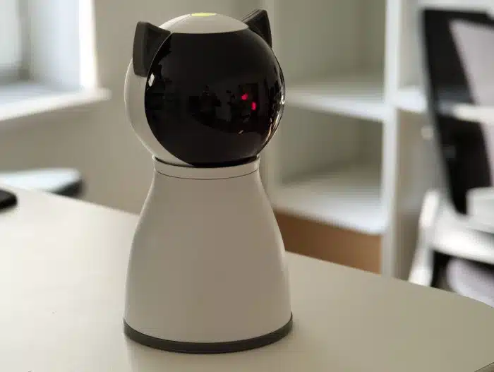 Laser-Spielzeug für Katzen