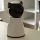 Laser-Spielzeug für Katzen – Automatische Jagd auf den roten Punkt (Bewegungserkennung, 3 Modi, automatische Abschaltung, Akku)