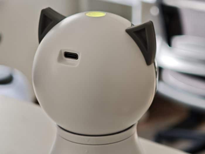 Laser-Spielzeug für Katzen
