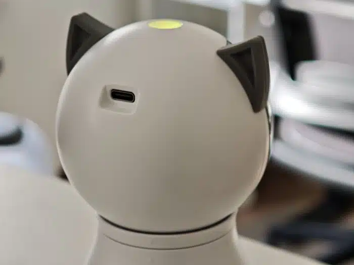 Laser-Spielzeug für Katzen