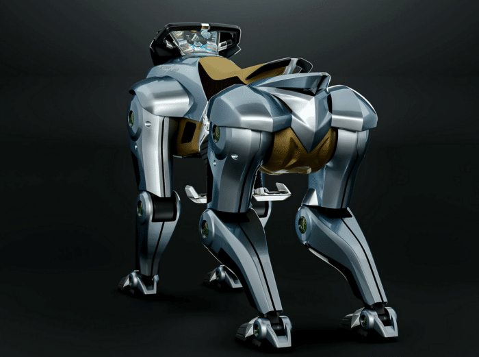 Kawasaki Corleo