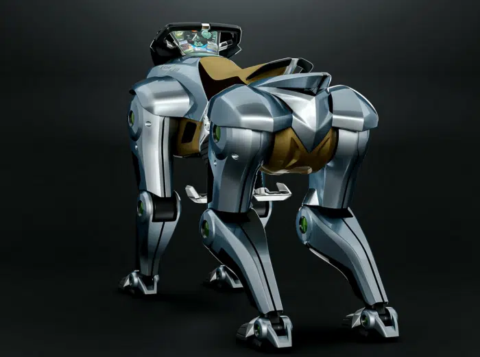 Kawasaki Corleo