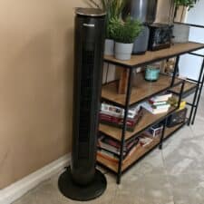 Pelonis Turmventilator
